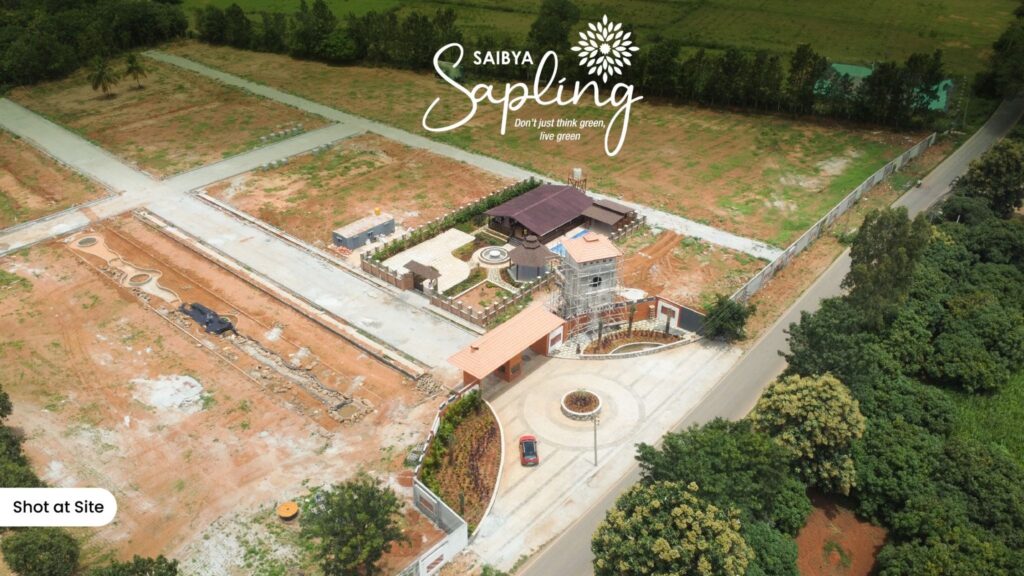 Sapling by Saibya – The Nandi-Foxconn Corridor